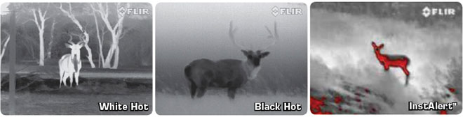 Flir BTS-X Pro fargeforskjeller